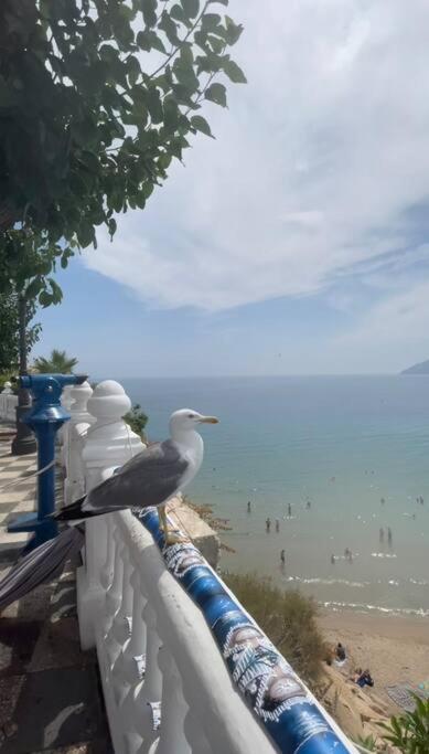 Апартаменты Apartamento Centrico Y En Primera Linea De Playa Бенидорм Экстерьер фото